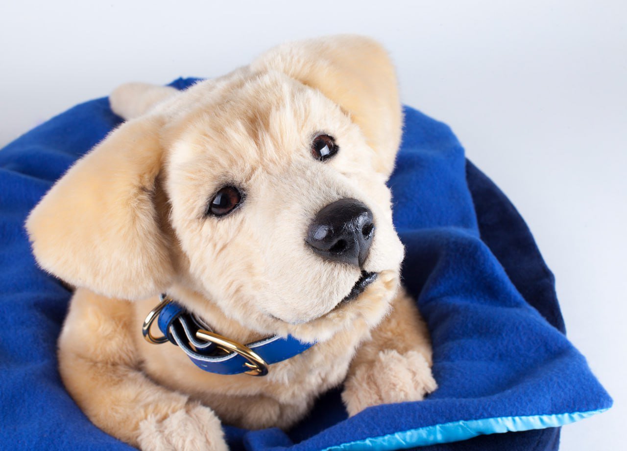 ШІ-робособаки дуже нагадують справжніх тварин Джерело: tombot.com