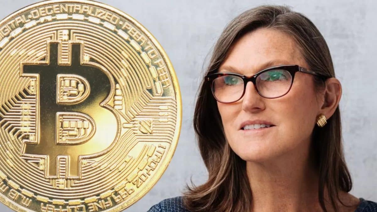 СЕО Ark Invest Кэти Вуд называет биткоин цифровым золотом. Источник: crypto-news-flash.com