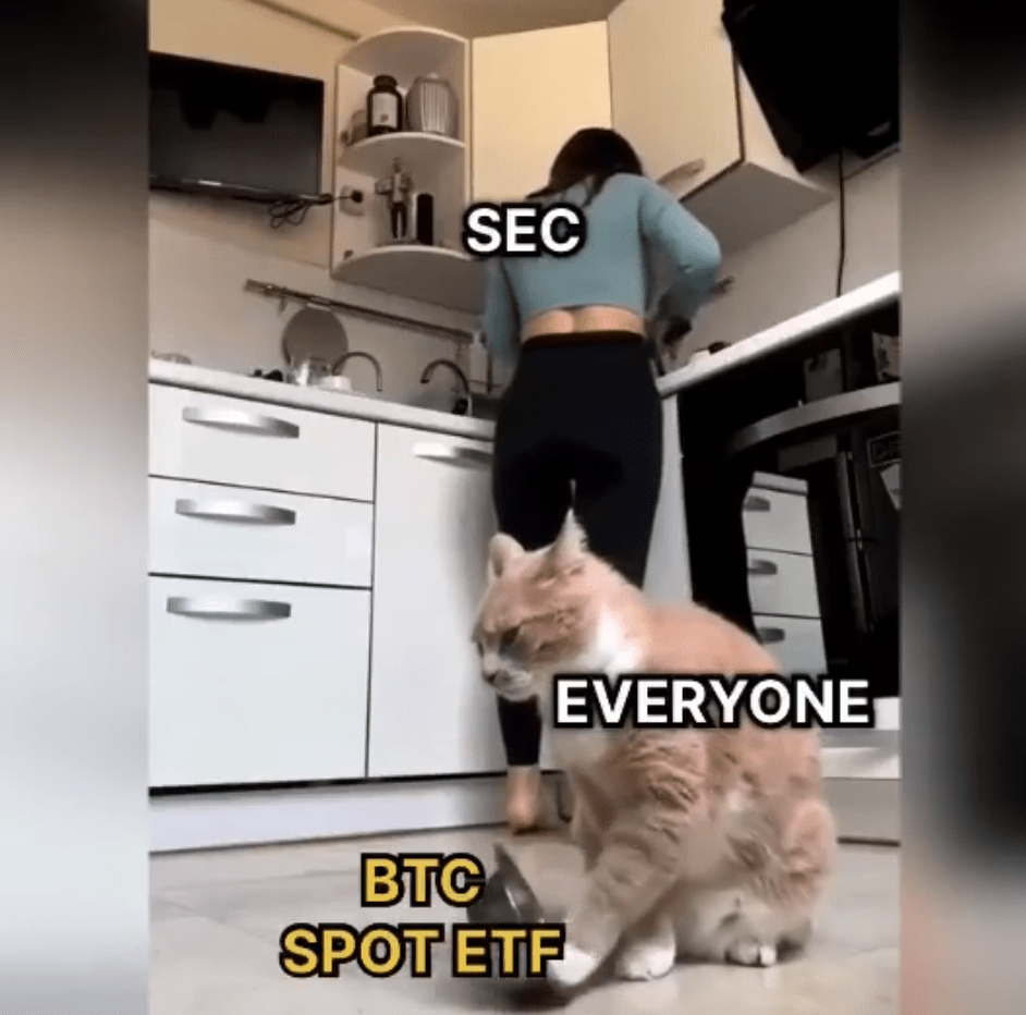 Мем о спотовом Bitcoin ETF. Источник: неизвестен