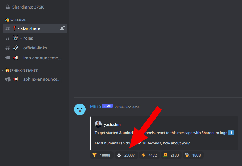 Shardeum’s Discord Source: Discord Shardeum