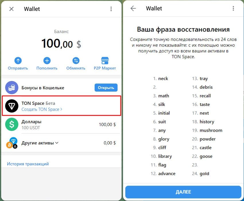 Первый и заключительный шаг создания TON Space. Источник: web.telegram.org