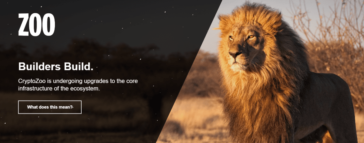 Source: cryptozoo.co