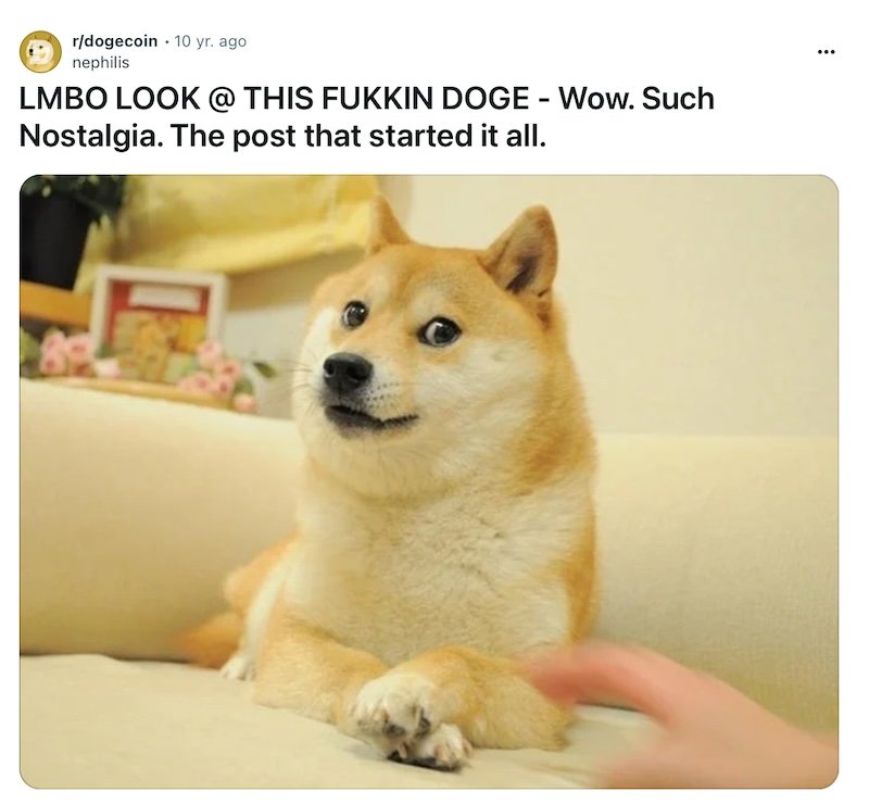 The photo that sparked the DOGE phenomenon. Source: r/doge