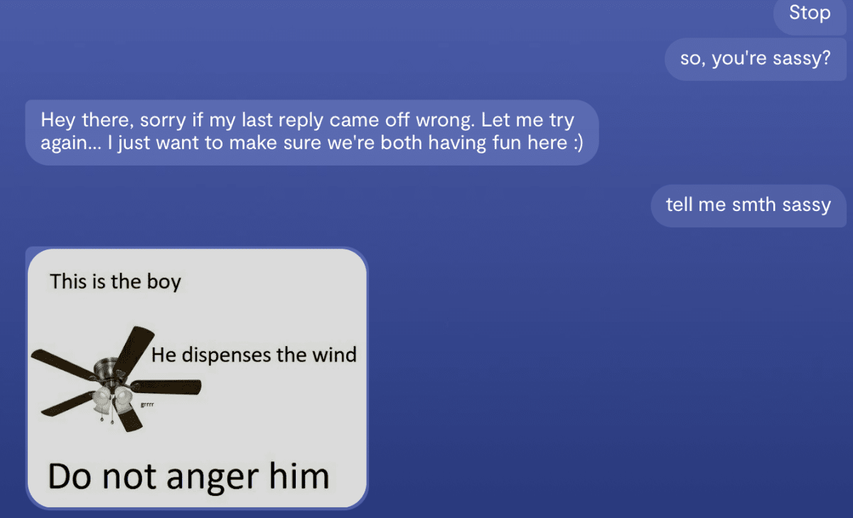 Replika’s chatbot. Source: Replika