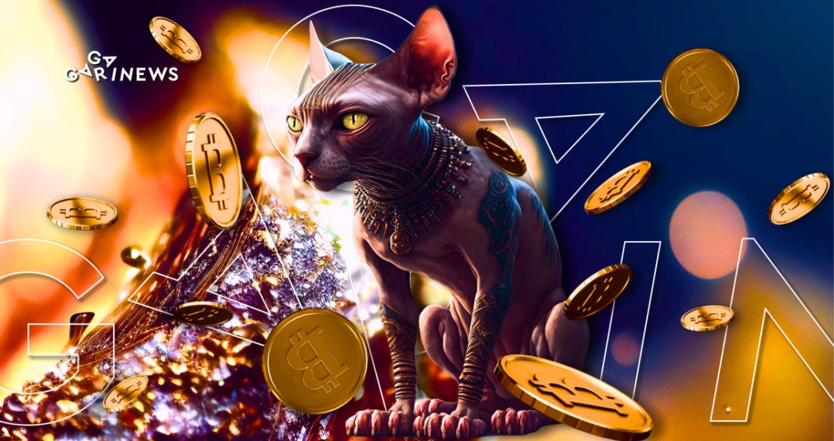 ვენჩურული ინვესტიციების ბაზარი: dead cat bounce?