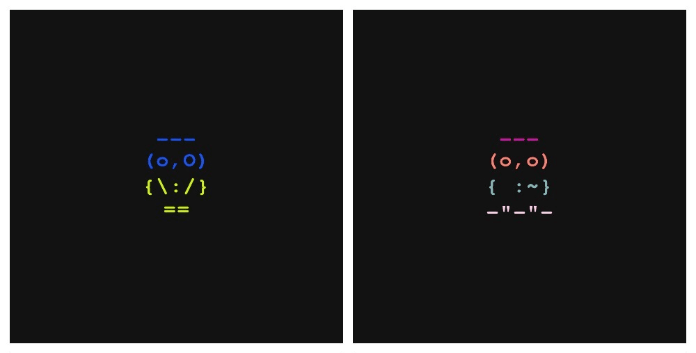 Two variations of Owls NFT. Source: Official OpenSea website.