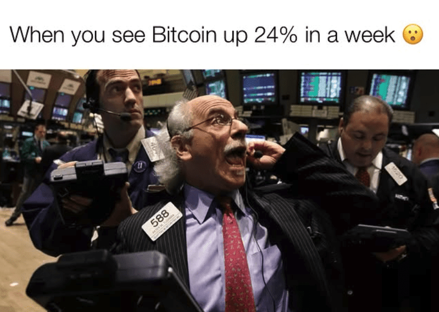 Peter Tuchman Reacts to Bitcoin’s Rise After the 2024 Presidential Election. Source: Instagram