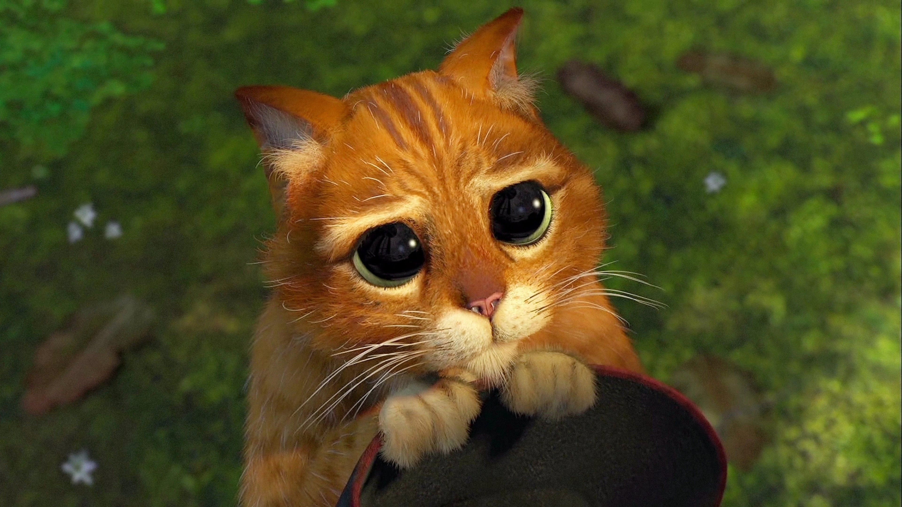 Icon of Sympathy: Puss in Boots. Source: fandom.com
