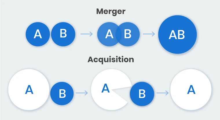 Understanding the Differences Between Mergers and Acquisitions. Source: dealroom.net