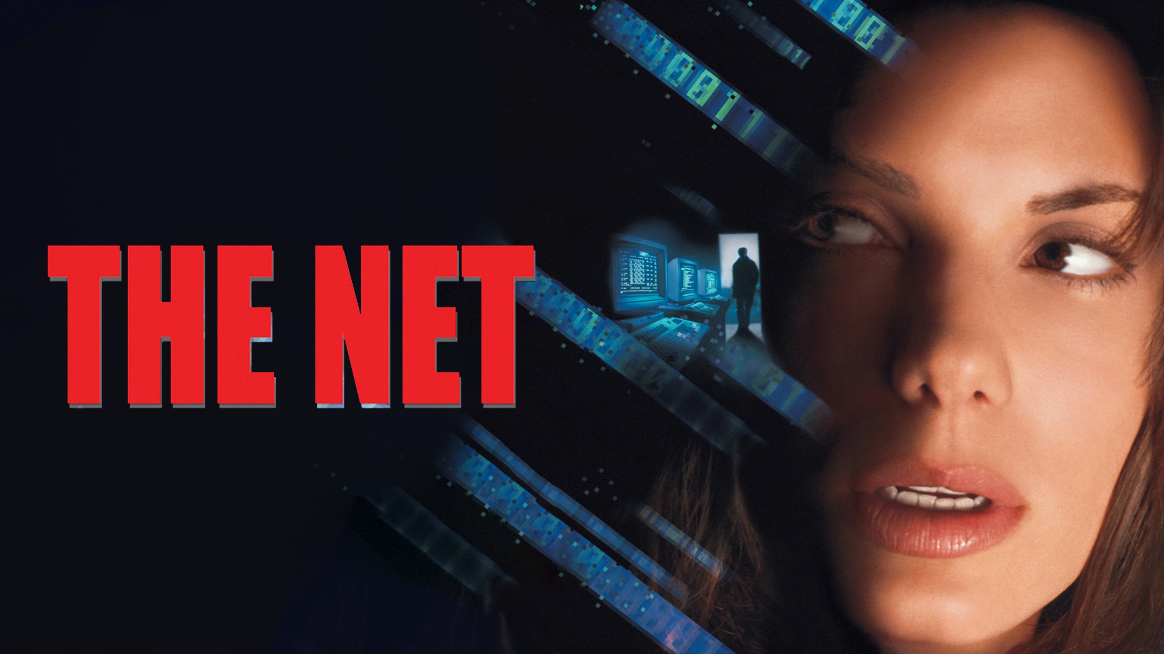 The Net movie poster. Source – plex.tv