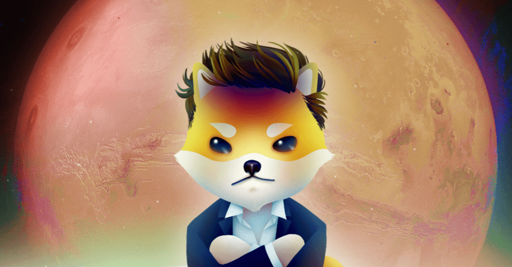 Dogelon Mars Source: dogelonmars.com