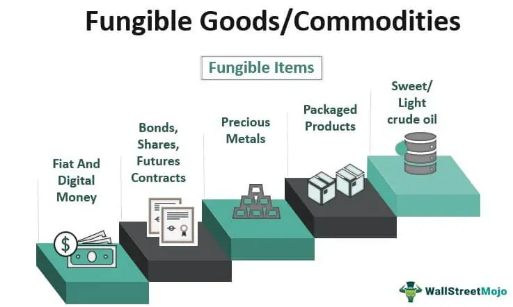 Fungible Assets. Source: wallstreetmojo.com