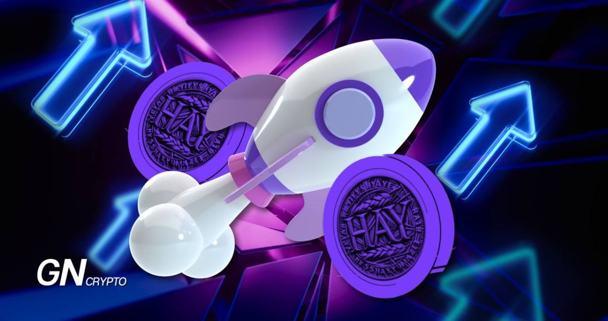 Цена токена HayCoin выросла до $2,5 млн