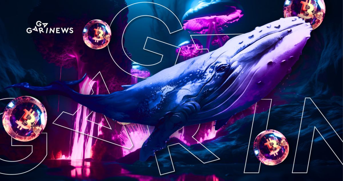 Is It Worth Following Crypto Whales and Their Wallets? Is It Worth Following Crypto Whales and Their Wallets?