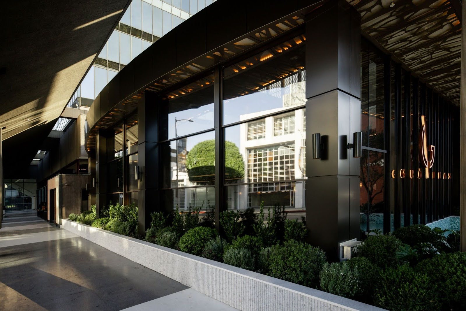 Клуб Gravitas в Беверли-Хиллз. Источник: gravitasclub.com