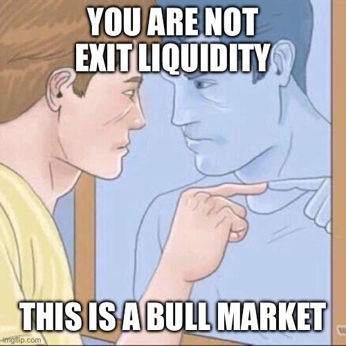 Buyer in a bull market ≠ exit liquidity. Source: reddit.com
