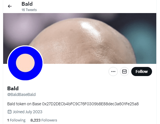 New BALD Account Source: X