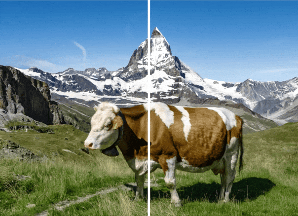 The image on the left is watermarked; the one on the right is non-watermarked. The difference is indiscernible. Source: Google DeepMind