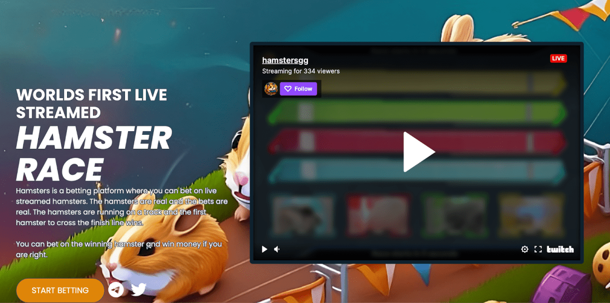 Hamsters GG’s website’s main page. Source: Hamsters GG’s website’s