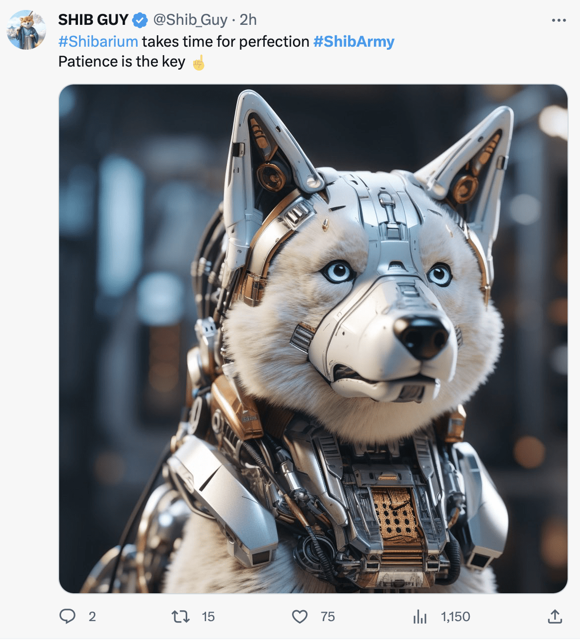 Пост от Shib Guy. Источник: X (Twitter)