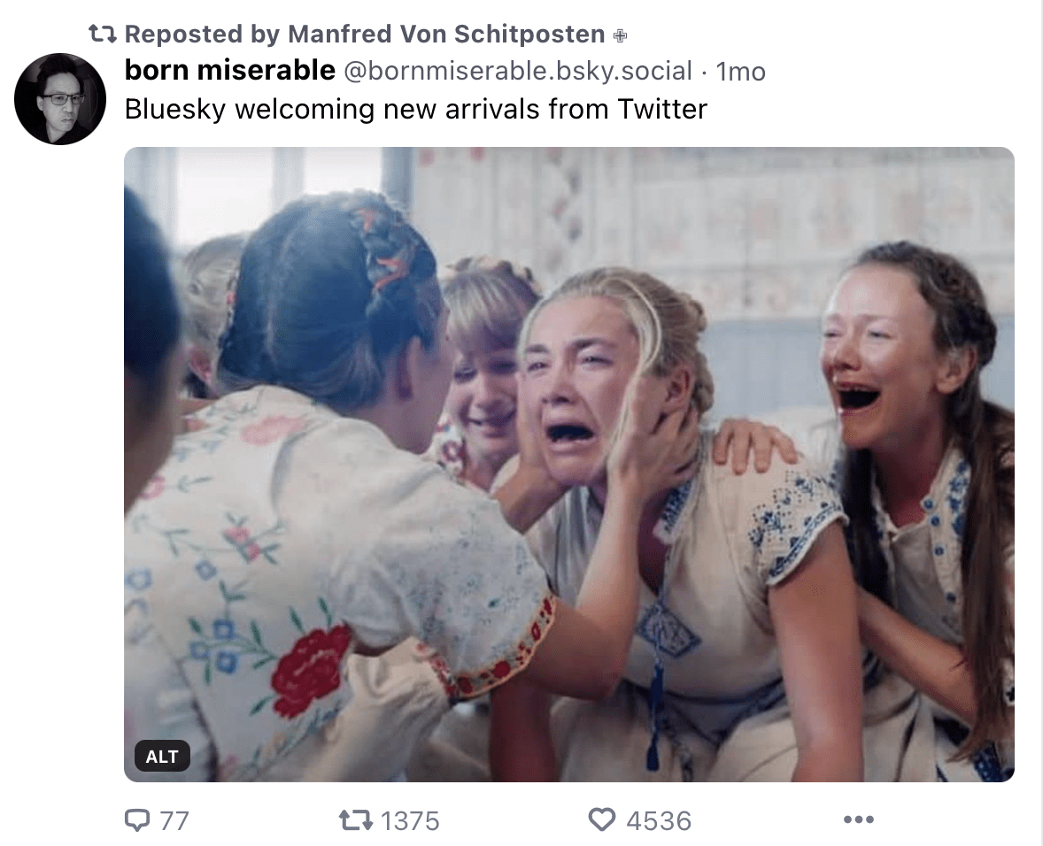 Пост от Born Miserable. Источник: Bluesky