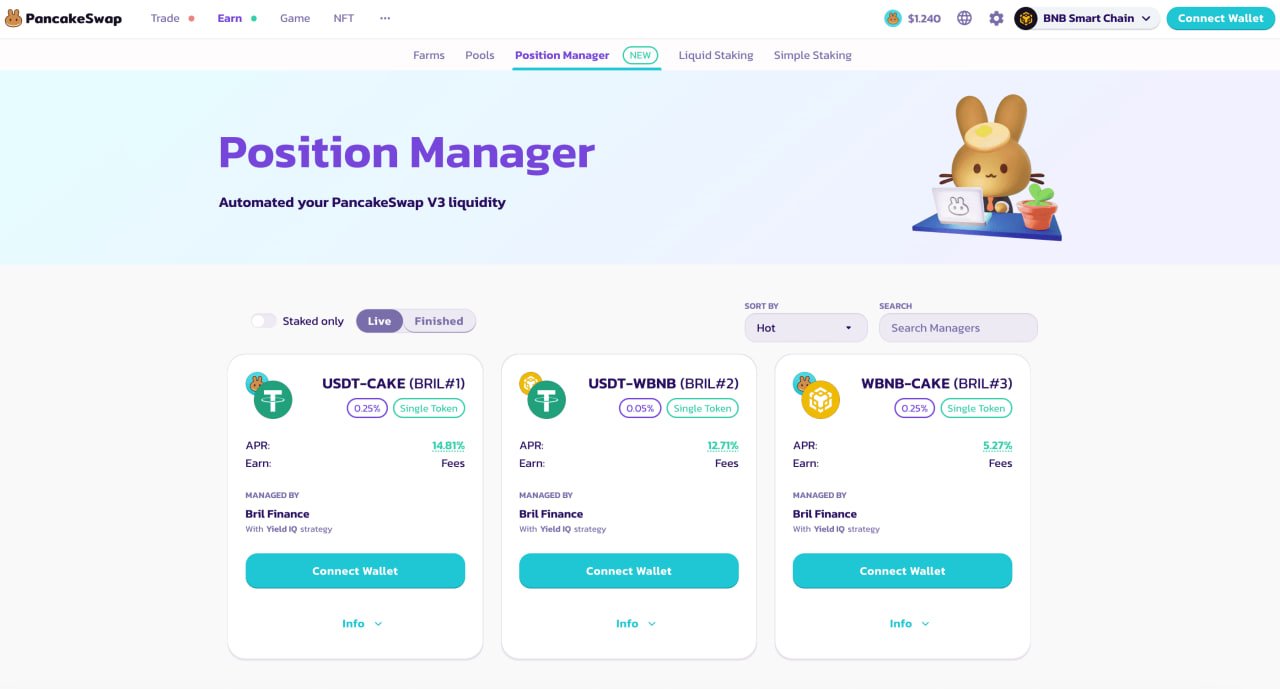 Варіанти внесення USDT і WBNB. Джерело: pancakeswap