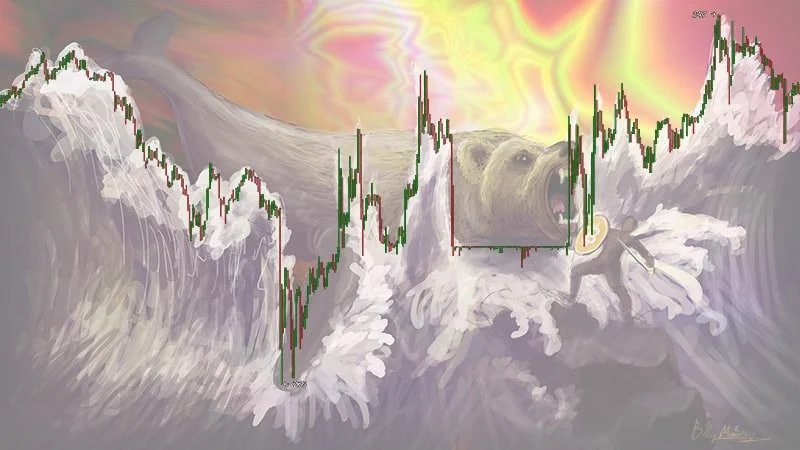 Bearwhales are rare but beneficial creatures in the crypto market. Source: Reddit
