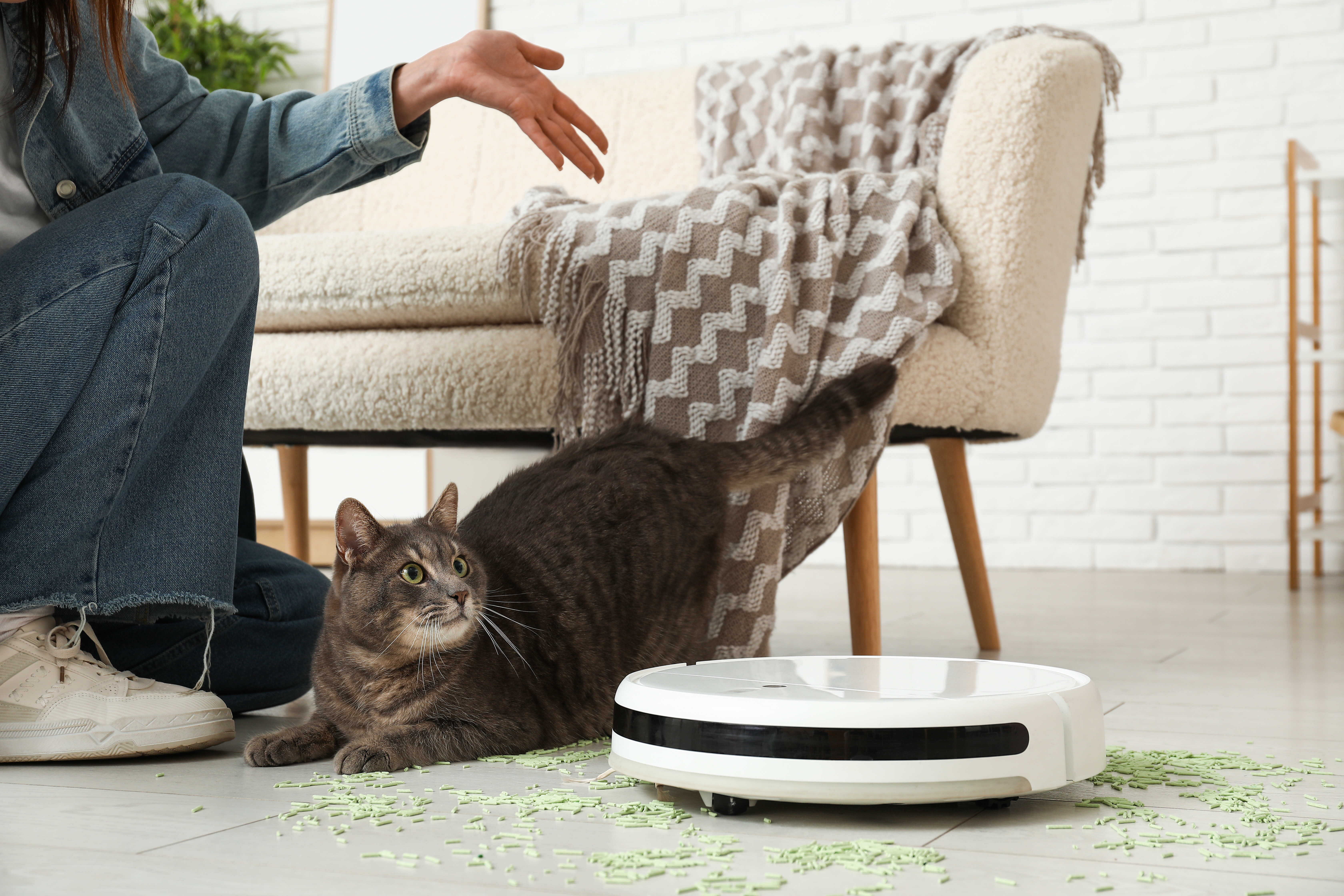 Robot vacuum cleaner at home. Source: freepik.com