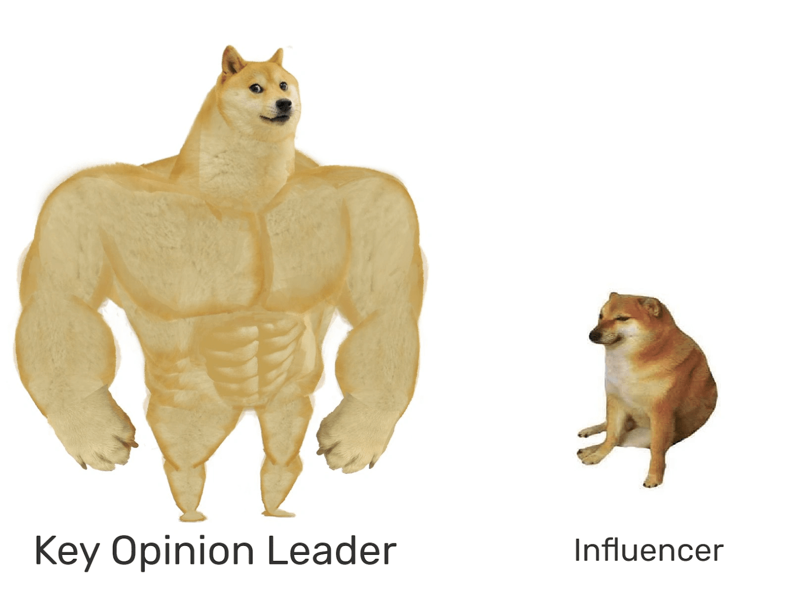 Meme: KOL vs Influencer. Source: GNcrypto