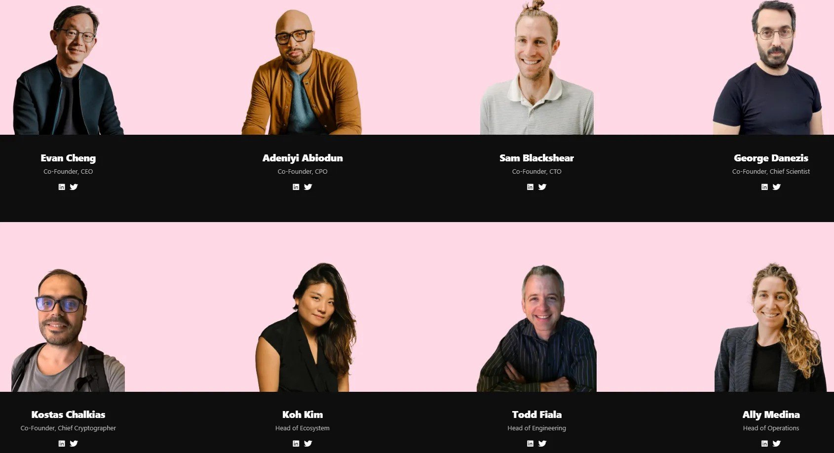 Mysten Labs Founders and core contributors. Source: icodrops.com