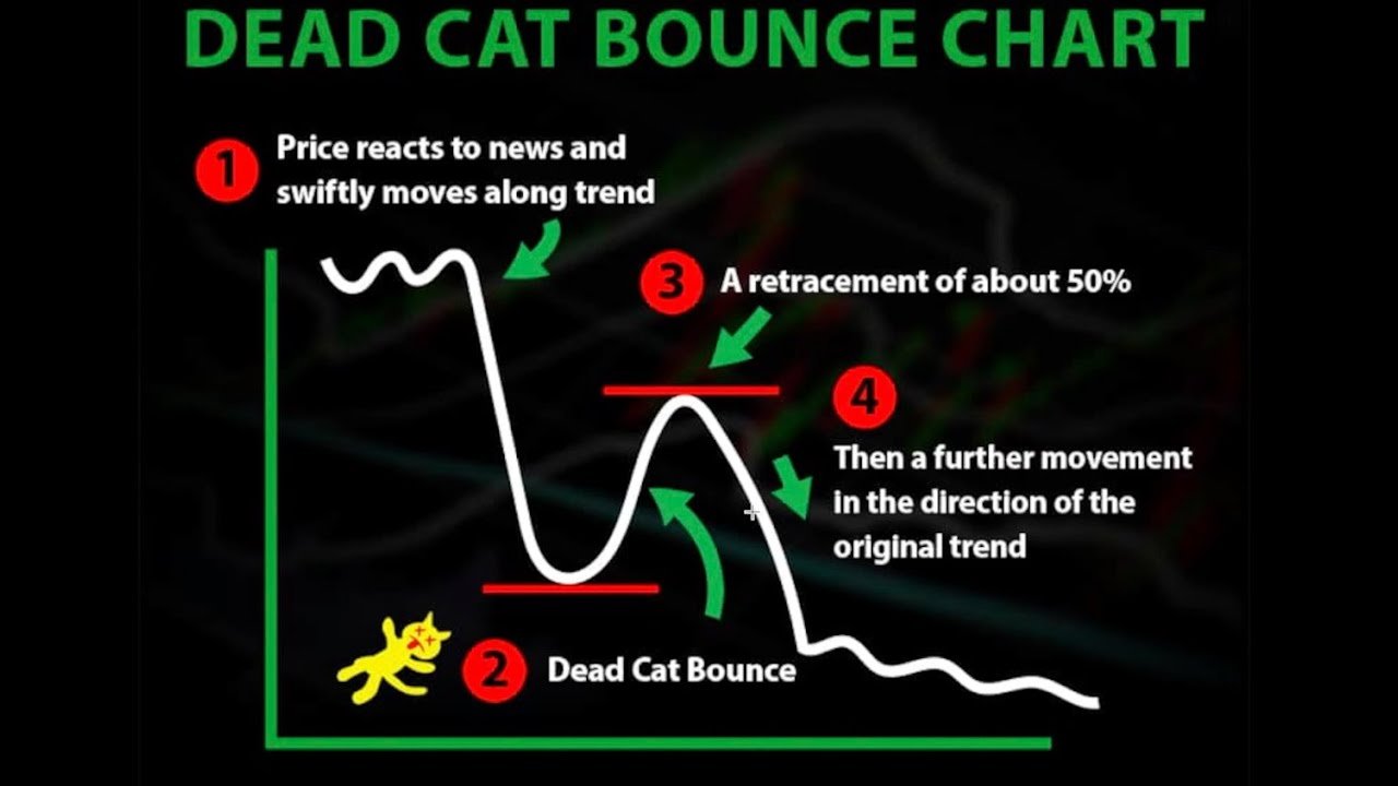 DCB Chart. Source: changelly