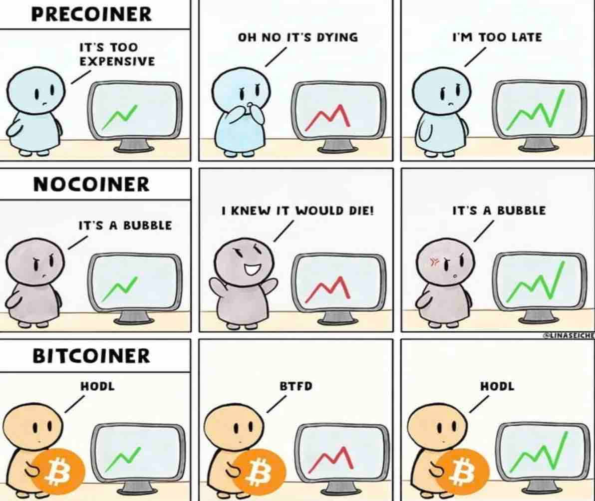 Precoiners, Nocoiners, and Bitcoiners. Source: Reddit