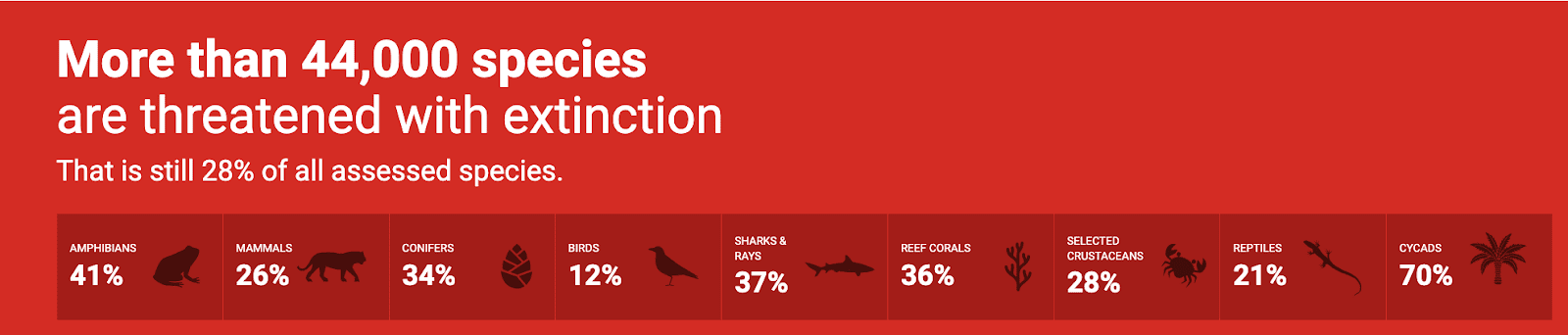 Численность исчезающих видов. Источник: Красный список МСОП