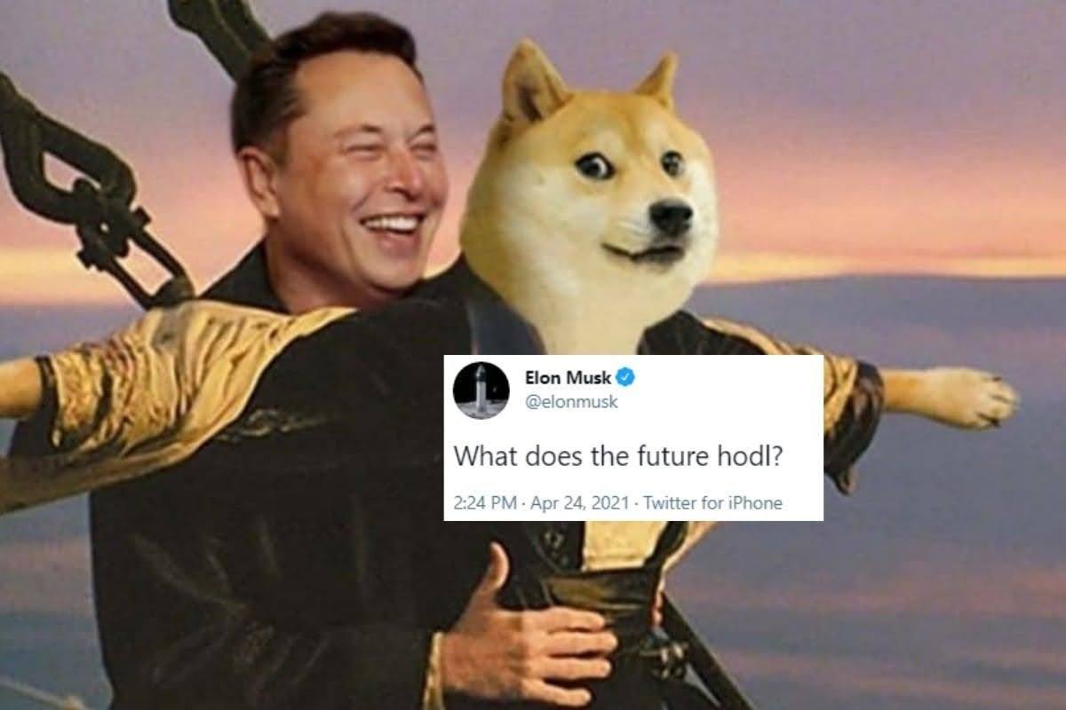 The most renowned shiller, Elon Musk. Source: Reddit