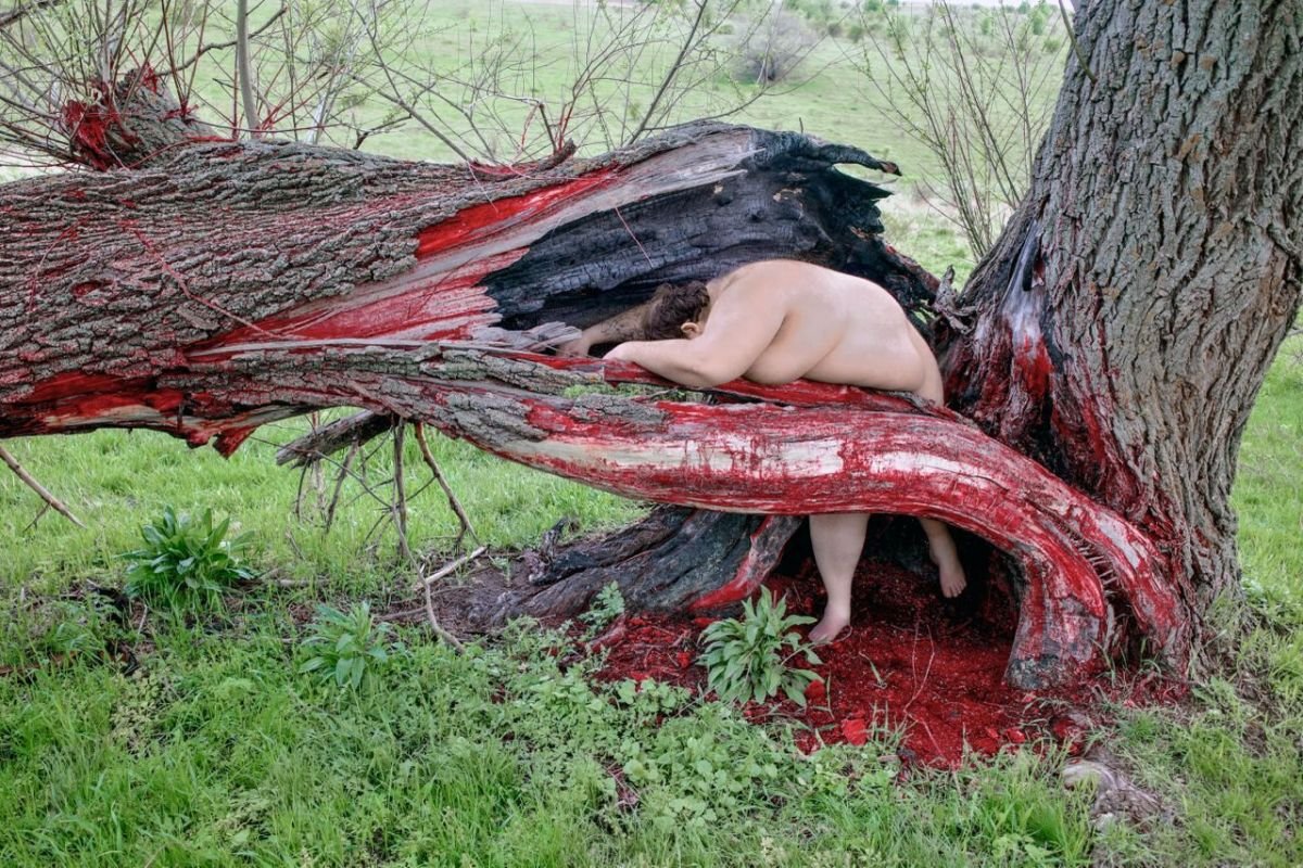 Blood Tree, Roots series