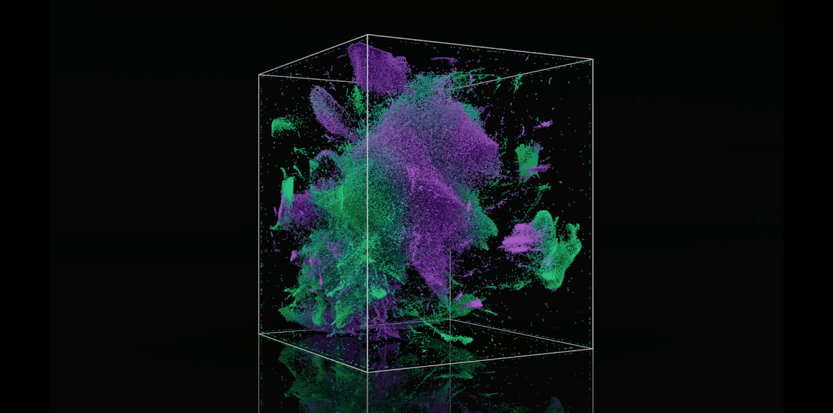 The Exposition NFT. Джерело: офіційний сайт Manifold Studio