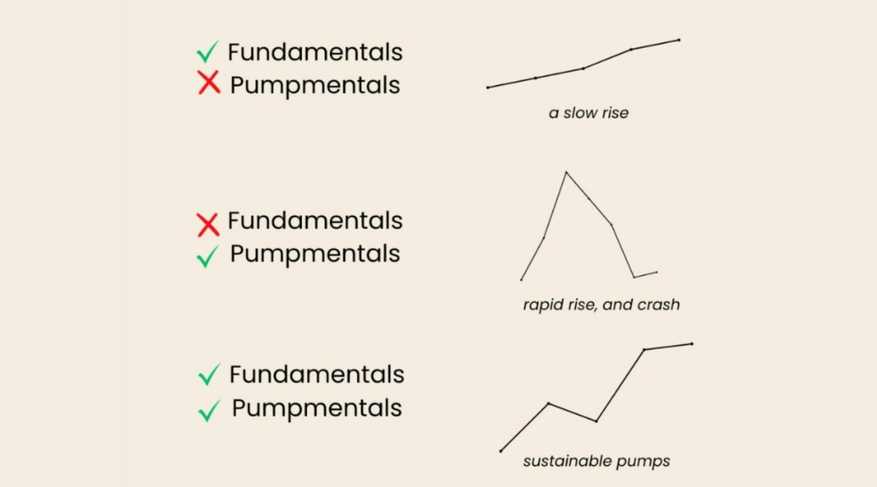The difference between pumpamentals and fundamental projects. Source: thedefiedge