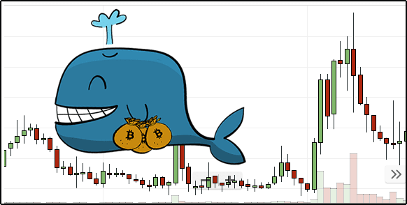 Whale Watching can offer a significant advantage to newcomers. Source: Reddit