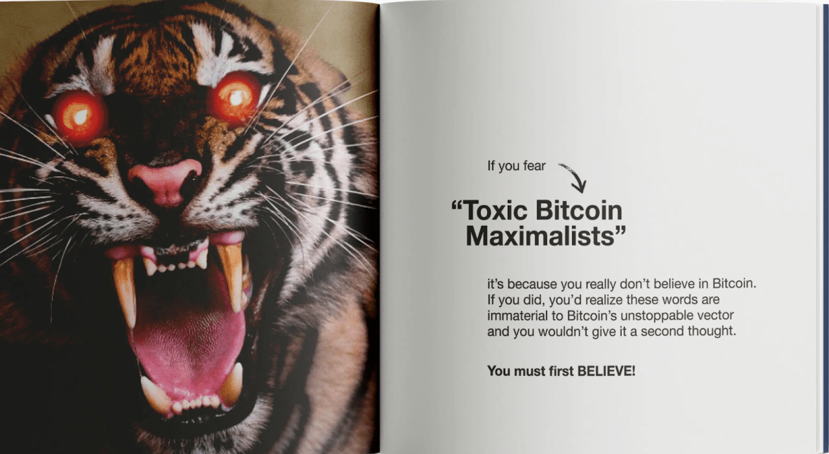 Макс призывает к слепой вере в будущее биткойна. Источник: swanbitcoin.com